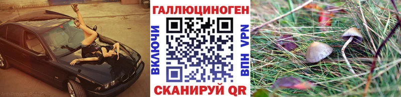 Псилоцибиновые грибы Psilocybe  закладки  Липки 
